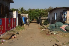 DSC07421