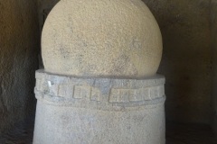 DSC07555